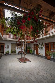 a tree in the middle of a courtyard with potted plants