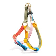 an adjustable dog harness with two different colored leashes, one for the collar and one for