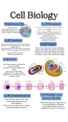 the cell diagram is shown with information about different types of cells and how they work