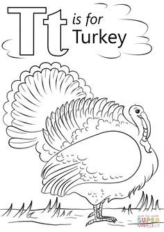 the letter t is for turkey coloring page