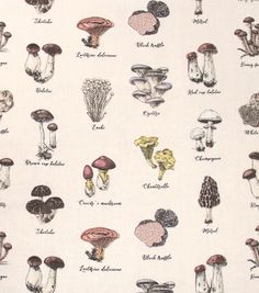 an image of many different types of mushrooms