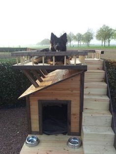 a dog is sitting on top of a wooden house