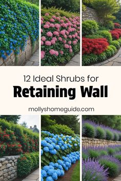 several pictures of different types of flowers and plants in the garden with text overlay that reads, 12 ideal shrubs for retaining wall