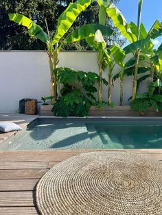 an outdoor swimming pool surrounded by plants and wooden decking with round rug on the ground