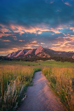 a dirt path in the middle of a grassy field with mountains in the background at sunset