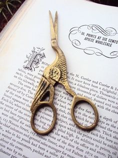 a pair of scissors sitting on top of an open book