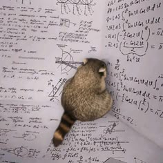 a raccoon sitting on top of a whiteboard covered in lots of writing