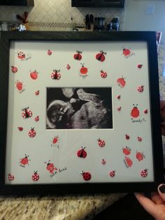 ladybugs and ladybirds are on the wall next to a framed photo in a kitchen