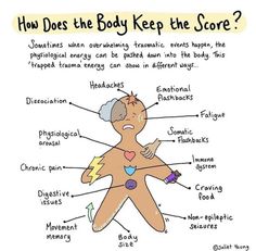 Polyvagal Theory, Mental Health Activities, Mental Health Counseling, Counseling Activities, The Score, Dissociation