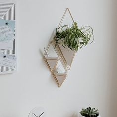 a clock on the wall next to a plant in a vase and some other items