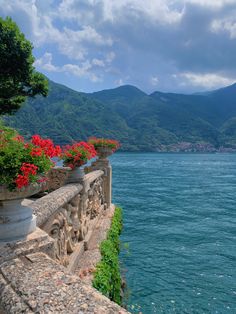 red flowers are growing on the ledge of an old stone wall overlooking water and mountains