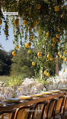 an outdoor dining area with tables, chairs and lemons hanging from the trees above