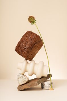 a piece of bread sitting on top of an egg shell next to a single flower