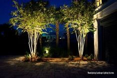 three trees lit up at night in front of a building