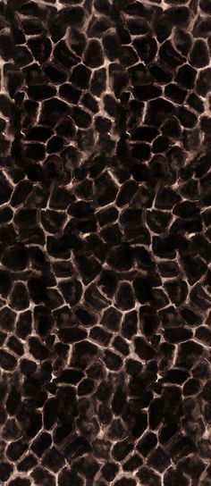 an animal print pattern is shown in black and white