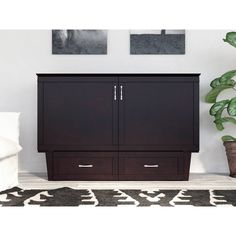 a black cabinet sitting next to a potted plant