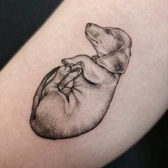 a black and white drawing of a dog's paw in the shape of a heart