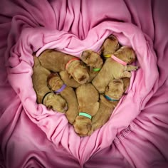 four puppies are huddled together in a heart shaped blanket on top of a pink sheet