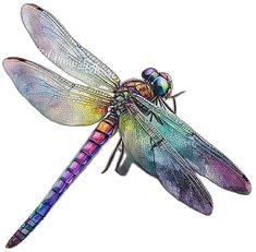 a colorful dragonfly sitting on top of a white surface with its wings spread out