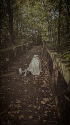 there is a trash bag on the ground next to a bridge in the woods with leaves all over it