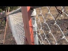 a close up of a chain link fence with grass and trees in the distance behind it