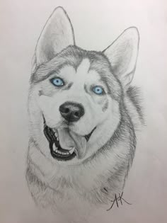 a drawing of a husky dog with blue eyes and his tongue hanging out to the side