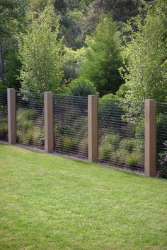 a fenced in area with grass and bushes