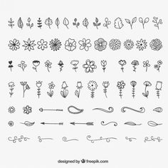 the different types of flowers and leaves drawn by hand