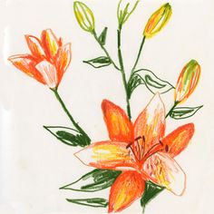 a drawing of some flowers on a white paper