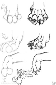 some drawings of hands and feet