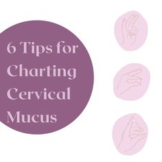 Learning to get comfortable with your cervical mucus observations takes consistency, but I promise you, one day it will feel like the lightbulb went off!💡
⠀⠀⠀⠀⠀⠀⠀⠀⠀
I think we make it WAY harder than it needs to be when charting our CM patterns.
⠀⠀⠀⠀⠀⠀⠀⠀⠀
All of the books and FAM resources describe infertile + fertile cervical mucus a bit differently. So I want you to just focus on the basics: Balance Hormones Naturally, Take Care Of Your Body, Hormone Imbalance, I Promise You, Hormone Balancing, Fertility, Take Care Of Yourself