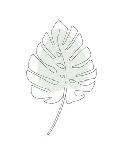 a single line drawing of a leaf