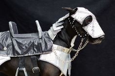 a black and white horse wearing a silver jacket with chains on it's head