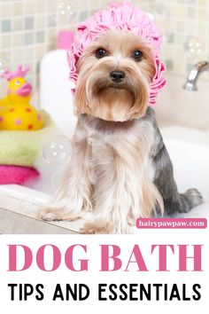 a dog sitting in a bathtub with soap bubbles around it and the words dog bath tips and essentials