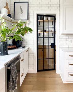 a kitchen with white cabinets and black glass doors, along with a potted plant on the counter