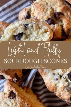 light and fluffy sourdough scones with chocolate chips