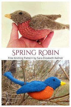 two knitted birds sitting on top of each other in front of a tree with the words, spring robin free knitting pattern by sara elizabeth kelliner