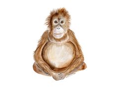 a watercolor painting of a monkey sitting on the ground with its hands in his pockets