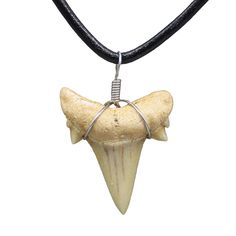 Shark Tooth Necklace Diy, Shark Tooth Necklace Mens, Cool Necklaces For Men, Shark Teeth Necklace, Boys Necklaces, Teeth Necklace, Great White Shark Teeth, Necklace For Boys, Shark Stuff