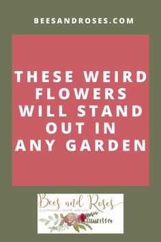 the words, these weird flowers will stand out in any garden on red and green background