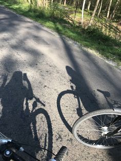 two bicycles parked on the side of a road in the woods, with shadows from them