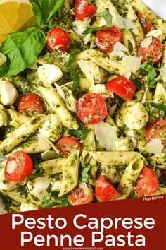 pesto caprese penne pasta with spinach and cherry tomatoes in a white bowl