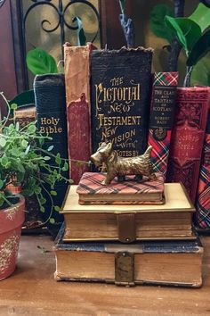 there are many books and plants on the table