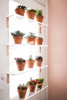 a shelf filled with potted plants on top of a door sill next to a wall