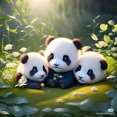 three panda bears are sitting in the grass with daisies and flowers around them,