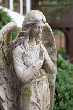 an angel statue in front of some bushes