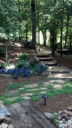 a stone path in the middle of a wooded area with blue flowers and rocks on either side