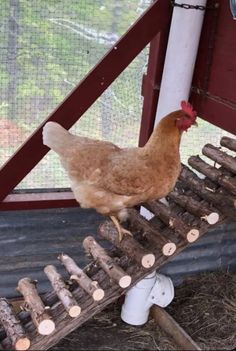 a brown chicken standing on top of a wooden structure