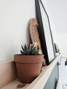 a potted plant sitting on top of a wooden shelf next to a framed photo