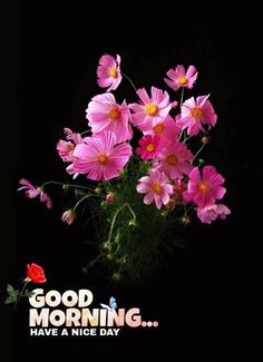 a vase filled with pink flowers sitting on top of a table next to a black background